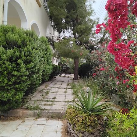 Peaceful Oasis Apartment Athens Ngoại thất bức ảnh