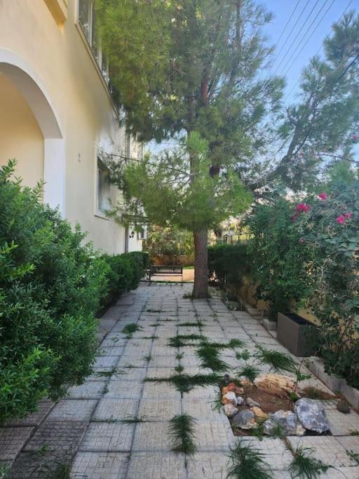 Peaceful Oasis Apartment Athens Ngoại thất bức ảnh