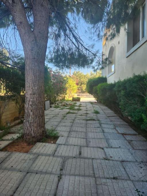 Peaceful Oasis Apartment Athens Ngoại thất bức ảnh