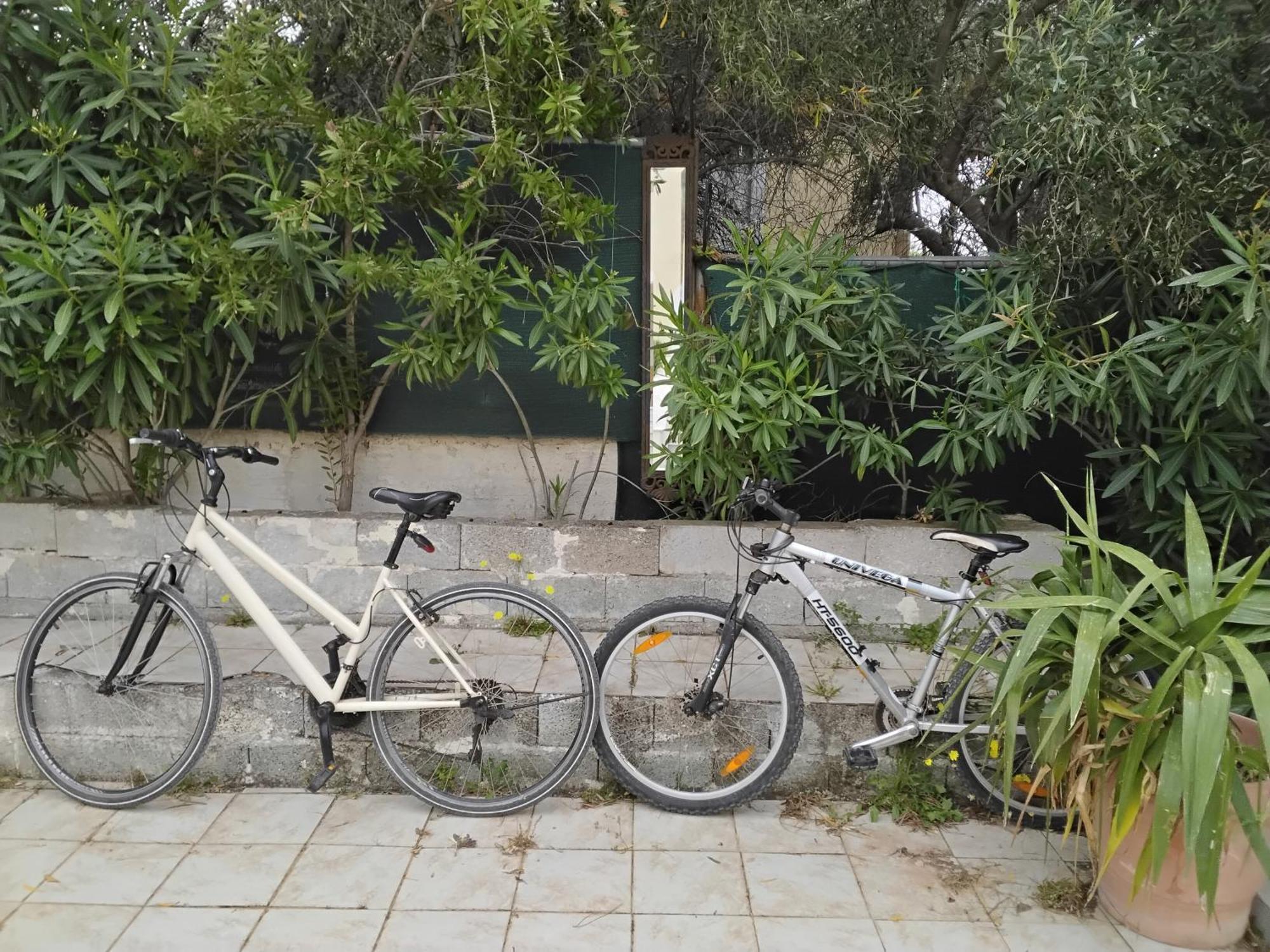 Peaceful Oasis Apartment Athens Ngoại thất bức ảnh