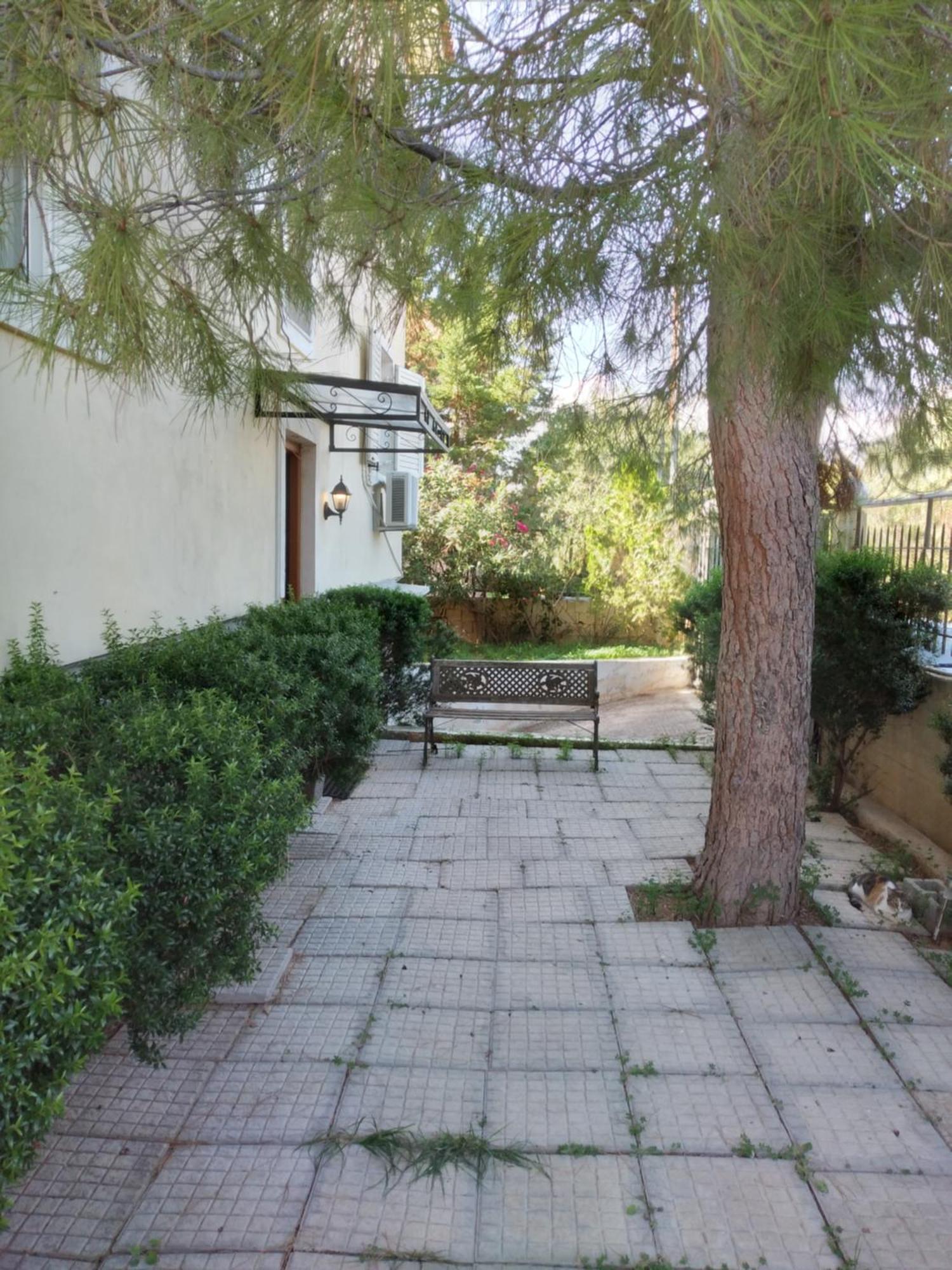 Peaceful Oasis Apartment Athens Ngoại thất bức ảnh