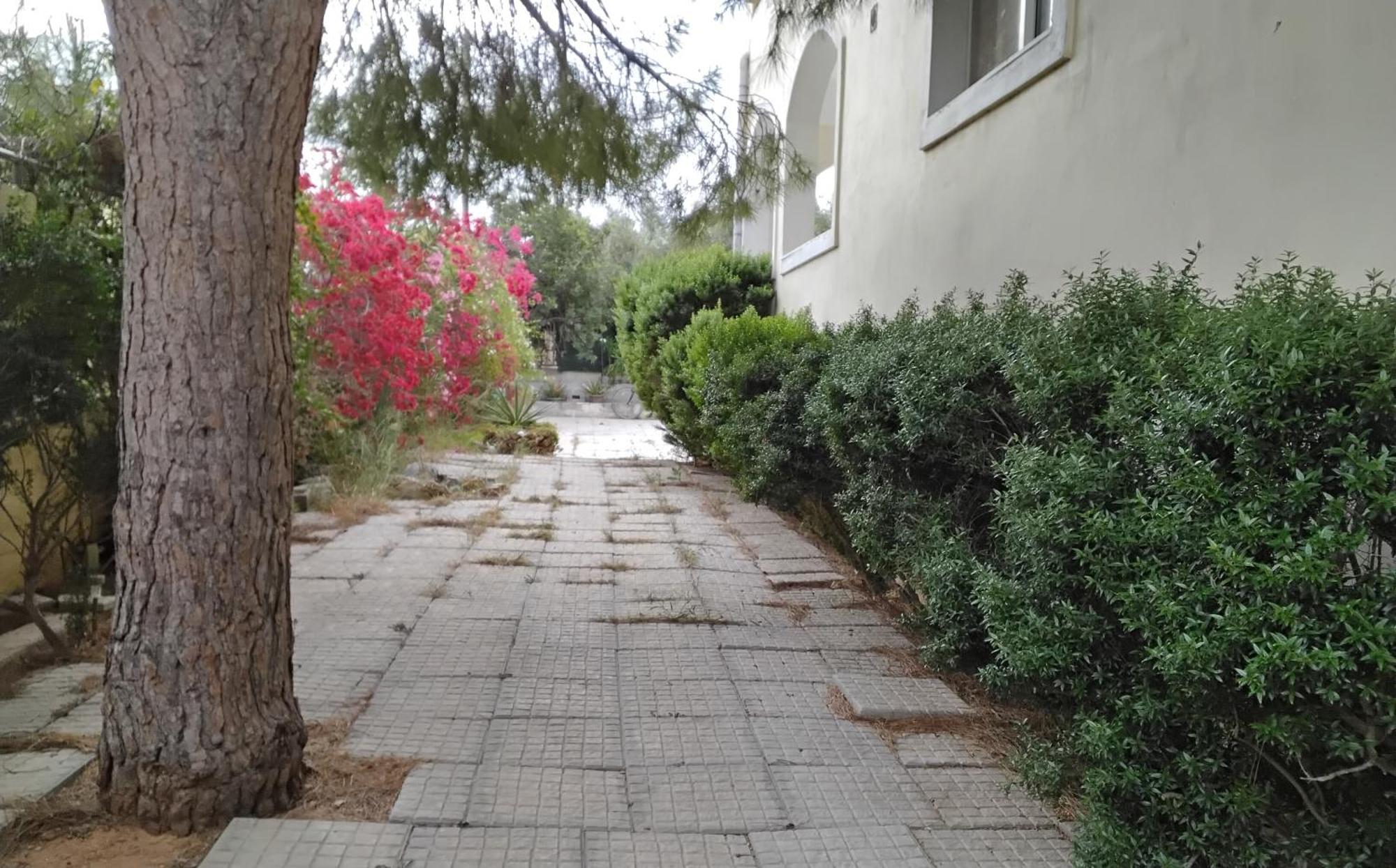 Peaceful Oasis Apartment Athens Ngoại thất bức ảnh