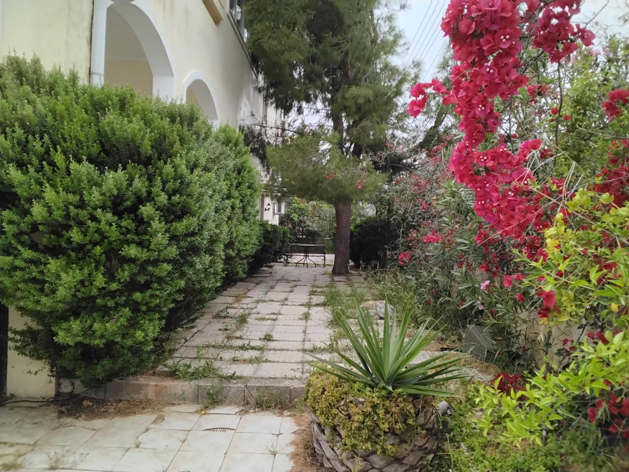 Peaceful Oasis Apartment Athens Ngoại thất bức ảnh